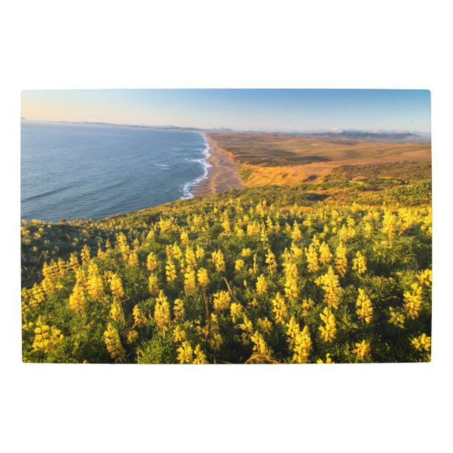 Impresión En Metal Point Reyes National Seashore California (Anverso)