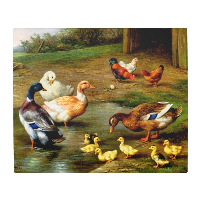Impresión En Metal Pollos, Patos Y Duques En La Granja (Anverso)