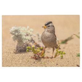 Impresión En Metal Pose llamativo