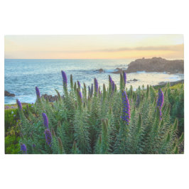 Impresión En Metal Primavera costera