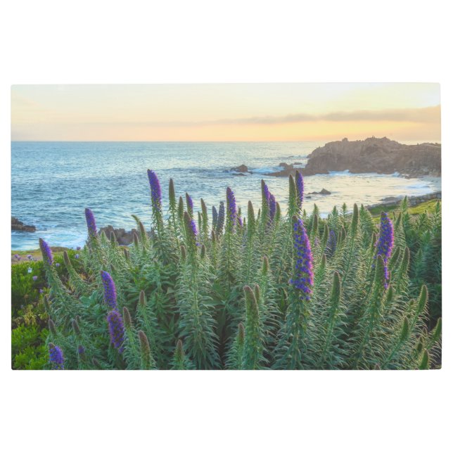 Impresión En Metal Primavera costera (Anverso)