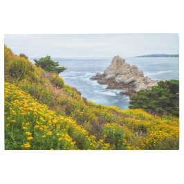 Impresión En Metal Primavera costera