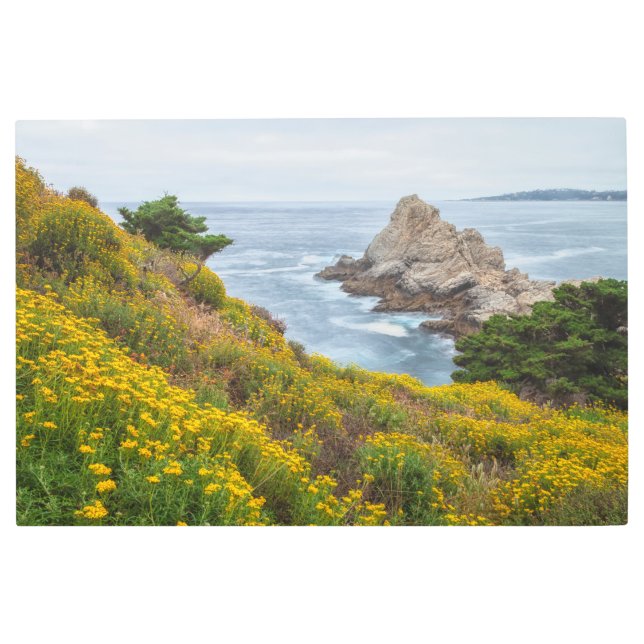 Impresión En Metal Primavera costera (Anverso)