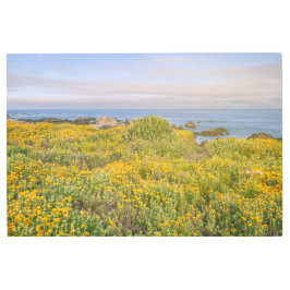 Impresión En Metal Primavera de Monterey