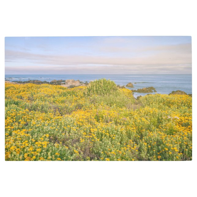 Impresión En Metal Primavera de Monterey (Anverso)