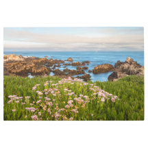 Primavera de Monterey