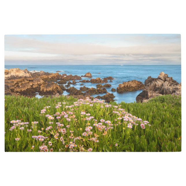 Impresión En Metal Primavera de Monterey (Anverso)