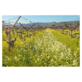 Impresión En Metal Primavera del País Vino