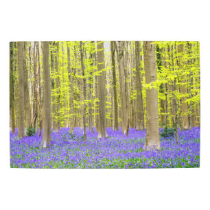 Impresión En Metal Primavera en el bosque azul