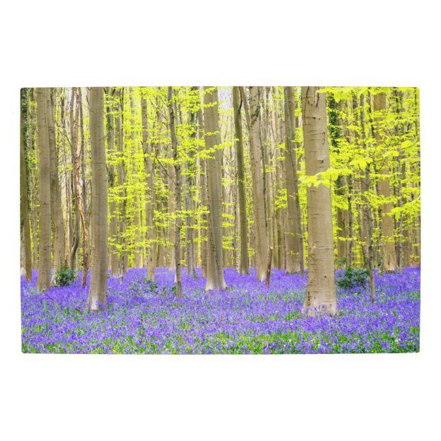 Impresión En Metal Primavera en el bosque azul (Anverso)