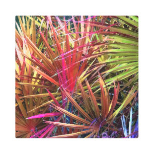 Impresión En Metal Protesta de Palmetto