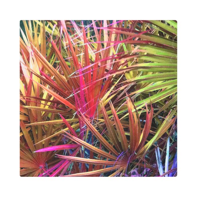 Impresión En Metal Protesta de Palmetto (Anverso)