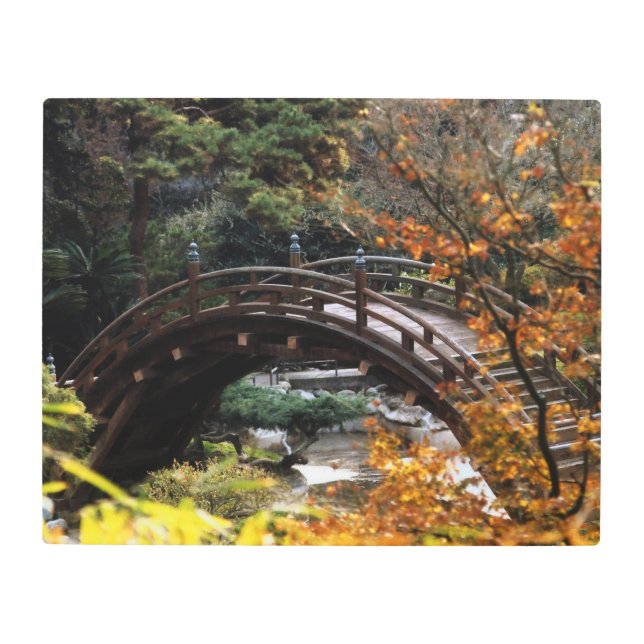 Impresión En Metal Puente (Anverso)