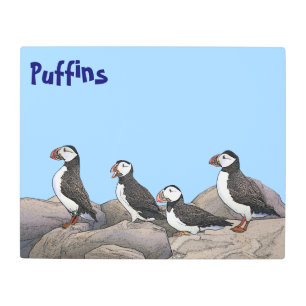 Impresión En Metal Puffins atlánticos