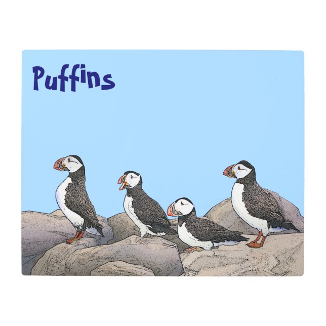 Impresión En Metal Puffins atlánticos (Anverso)