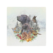 Puntero alemán de corta duración en invierno