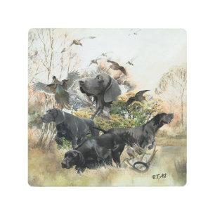 Impresión En Metal Puntero de Shorthairo alemán