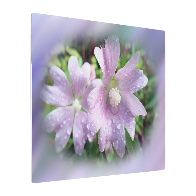 Impresión En Metal Púrpura brillante (Angulado)