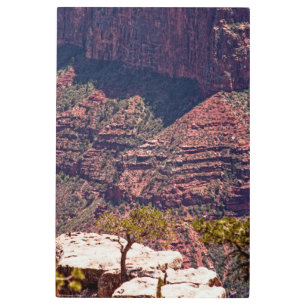 Impresión En Metal Rafinesque Watches