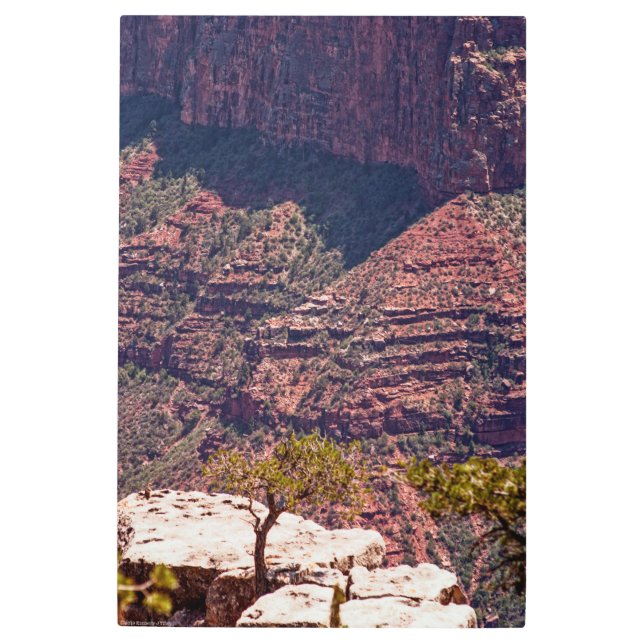 Impresión En Metal Rafinesque Watches (Anverso)