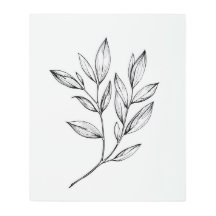 Rama Botánica Dormitorio de la casa de campo