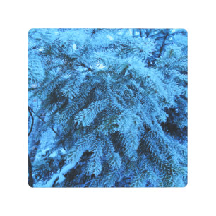 Impresión En Metal Ramas prudentes cubiertas de nieve y cristales de