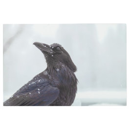 Impresión En Metal Raven en la nieve
