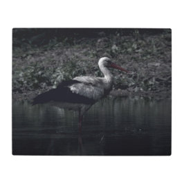 Impresión En Metal Realidad congelada - La belleza de la naturaleza 2