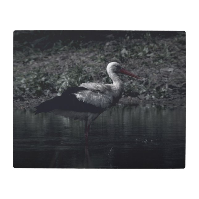 Impresión En Metal Realidad congelada - La belleza de la naturaleza 2 (Anverso)