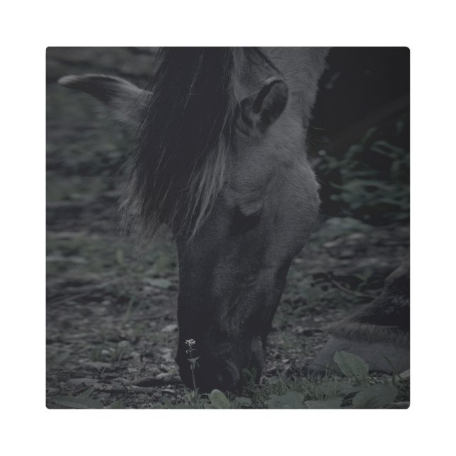 Impresión En Metal Realidad congelada - La belleza de la naturaleza 2 (Anverso)