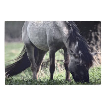 Realidad congelada - La belleza de la naturaleza 2