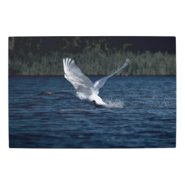 Impresión En Metal Realidad congelada - La belleza de la naturaleza 3