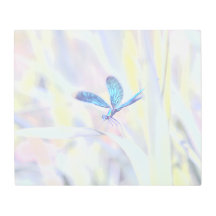 Realidad congelada - La belleza de la naturaleza 4