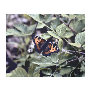Impresión En Metal Realidad congelada - La belleza de la naturaleza 8
