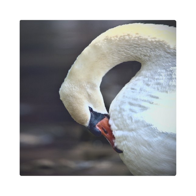 Impresión En Metal Realidad congelada - La naturaleza hermosa 300 (Anverso)