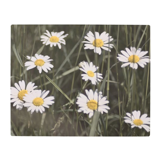 Impresión En Metal Realidad congelada - Naturaleza hermosa 73 (Anverso)