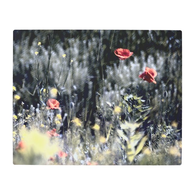 Impresión En Metal Realidad congelada - Naturaleza hermosa 74 (Anverso)