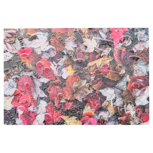 Impresión En Metal Resumen de las hojas caídas (Anverso)