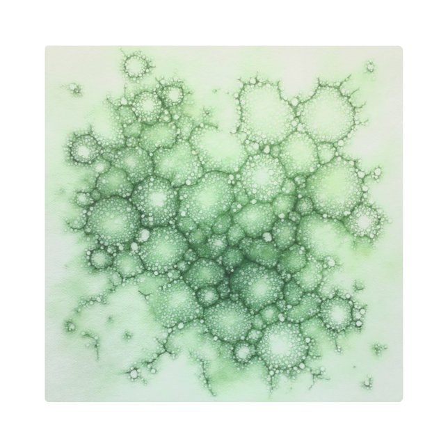 Impresión En Metal Resumen de Lichen Fenestrado de Salario - Moderno  (Anverso)