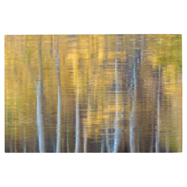 Impresión En Metal Resumen de otoño (Anverso)