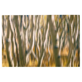 Impresión En Metal Resumen del bosque de Aspen