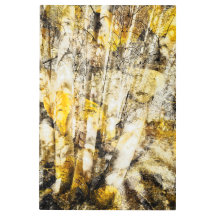 Resumen del bosque de Aspen