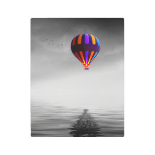 Impresión En Metal Retrato de globo de aire