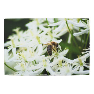 Impresión En Metal Reunión de otoño