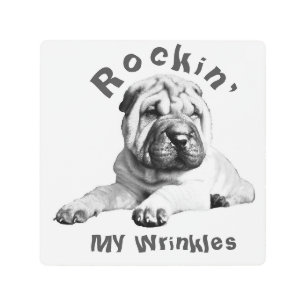 Impresión En Metal Rockin' My Wrinkles Shar Pei Wall Art