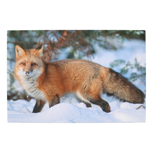 Impresión En Metal Rojo | Nieve en invierno, Montana (Anverso)