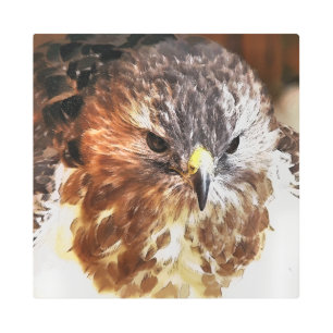 IMPRESIÓN EN METAL ROJO TAILED HAWK