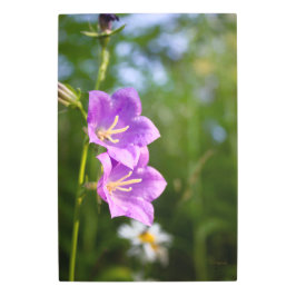 Impresión En Metal Romantic Flowers – Botanical Fantasy Boho