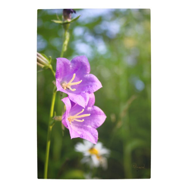 Impresión En Metal Romantic Flowers – Botanical Fantasy Boho (Anverso)