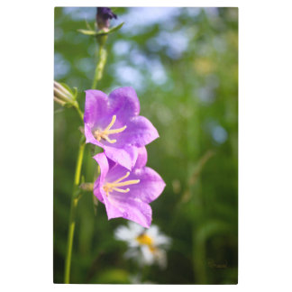 Impresión En Metal Romantic Flowers – Botanical Fantasy Boho